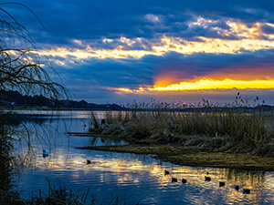 手賀沼の朝焼け