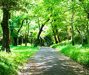 多摩湖狭山公園